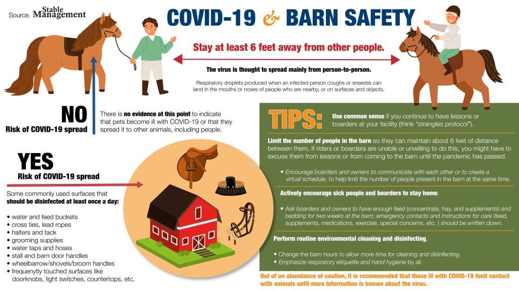 COVID 19andBarn safety Home Staging in Bozeman, MT